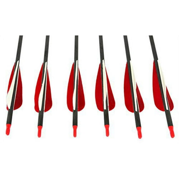 Sage Premium Recurve Carbon Arrows 31.5" - 35-45lb - 6 Pack- Red