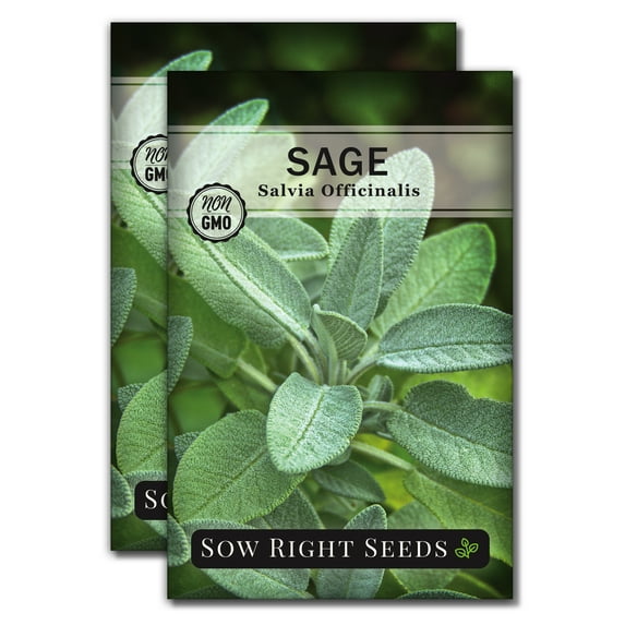 Sage Seeds for Planting - Non GMO Heirloom Varieties for your Indoor or Outdoor Herb Garden - 2 Pack