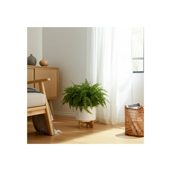 Ceramic Planter with Stand - Textured Ceramic Indoor & Outdoor Plant Holder - Modern Garden Decor for Home - 10" White