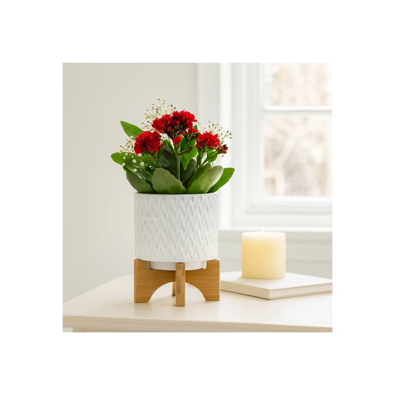 Sagebrook Home Ceramic Planters with Wood Stand for Home - Flower Pots for Entryway, Raised Container for Indoor & Outdoor Plants - 8", White & Tan
