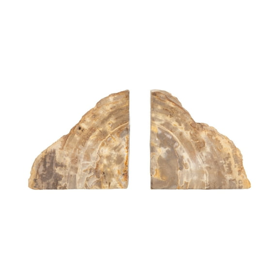 Sagebrook Home Neutral Natural Petrified Wood Rustic Bookends - 6" x 6" x 2"