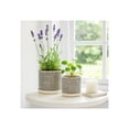 thumbnail image 1 of Ceramic Flower Pots and Planters for Home Decor - Plant Pots for Indoor or Outdoor Succulents and Houseplants - Modern Pots for Plant Stands Ideal for Garden and Patio Set of 2 - 8", 6" Ivory & Tan, 1 of 11
