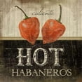 thumbnail image 1 of Sagebrush Fine Art PDXJP1367SMALL Hot Habaneros Poster Print by Jennifer Pugh, 12 x 12 - Small, 1 of 1