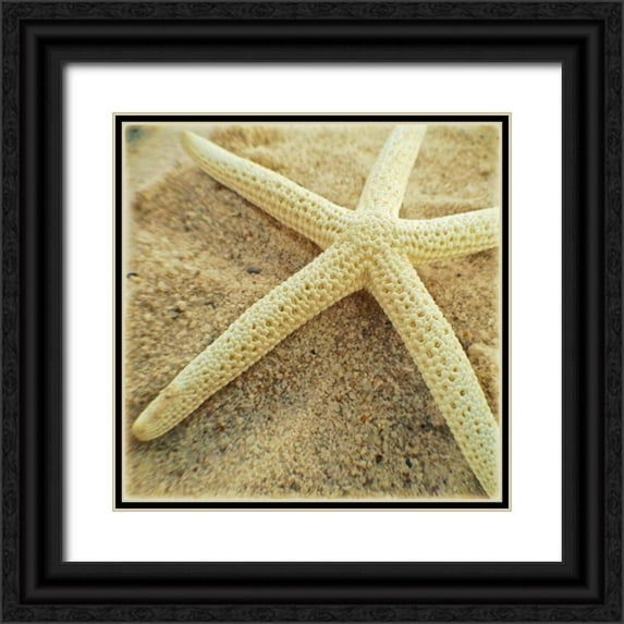 Saghini, Lisa Hill 12x12 Black Ornate Wood Framed with Double Matting Museum Art Print Titled - Starfish