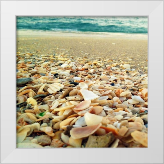 Saghini, Lisa Hill 12x12 White Modern Wood Framed Museum Art Print Titled - Shells Beach II