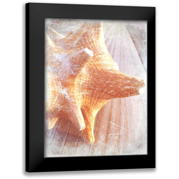 Saghini, Lisa Hill 12x14 Black Modern Framed Museum Art Print Titled - Conch II