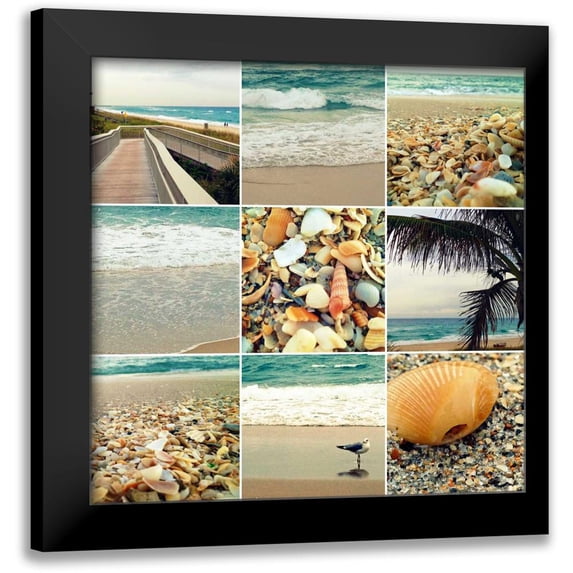Saghini, Lisa Hill 15x15 Black Modern Framed Museum Art Print Titled - Shell Beach