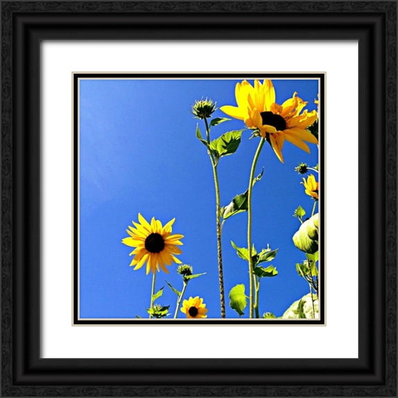 Saghini, Lisa Hill 15x15 Black Ornate Wood Framed with Double Matting Museum Art Print Titled - Sunflowers and Sky