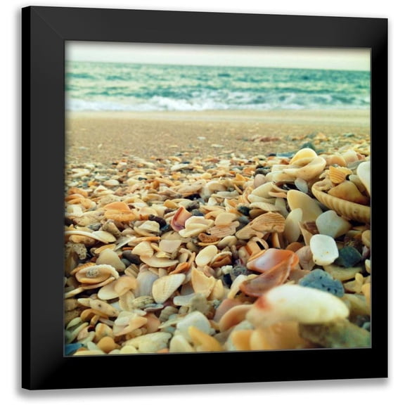 Saghini, Lisa Hill 20x20 Black Modern Framed Museum Art Print Titled - Shells Beach I