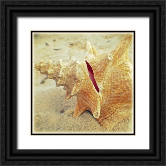 Saghini, Lisa Hill 26x26 Black Ornate Wood Framed with Double Matting Museum Art Print Titled - Conch