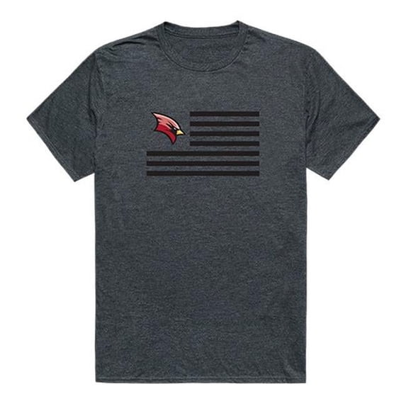 Saginaw Valley State University Flag T-Shirt, Heather Charcoal 2 - Extra Large