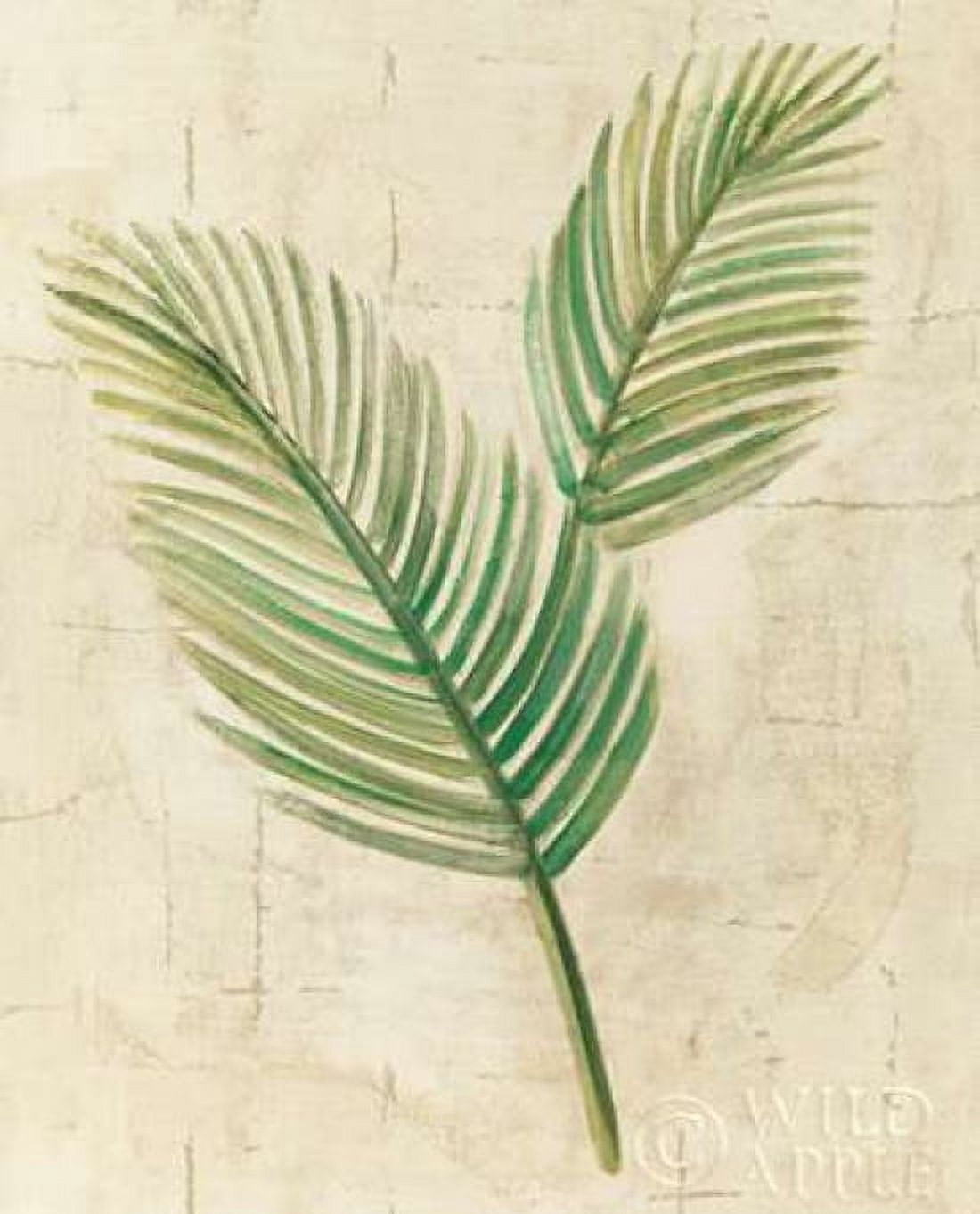 Sago Palm Leaves Neutral Crop Canvas Art - Albena Hristova (24 x 30)