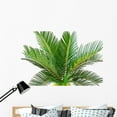 thumbnail image 1 of Sago Palm Wall Decal by Wallmonkeys Peel and Stick Graphic (48 in W x 32 in H) WM143971, 1 of 4