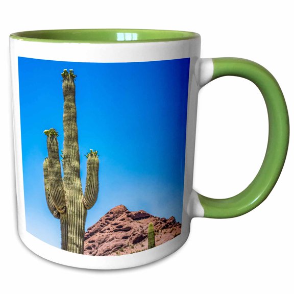 3drose, Saguaro Cactus in Bloom, Desert Botanical Garden, Phoenix, Arizona., 11oz Two-tone Green Mug