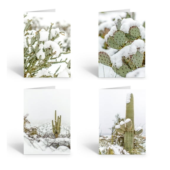 Saguaro Cactus Winter Greeting Cards - 12 Desert Cactus Cards and Envelopes - J2