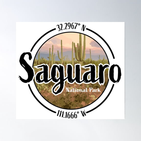 Saguaro Design With Latitude And Longitude Poster Wall Art, Modern Wall Decor, 30x30 UNFRAMED