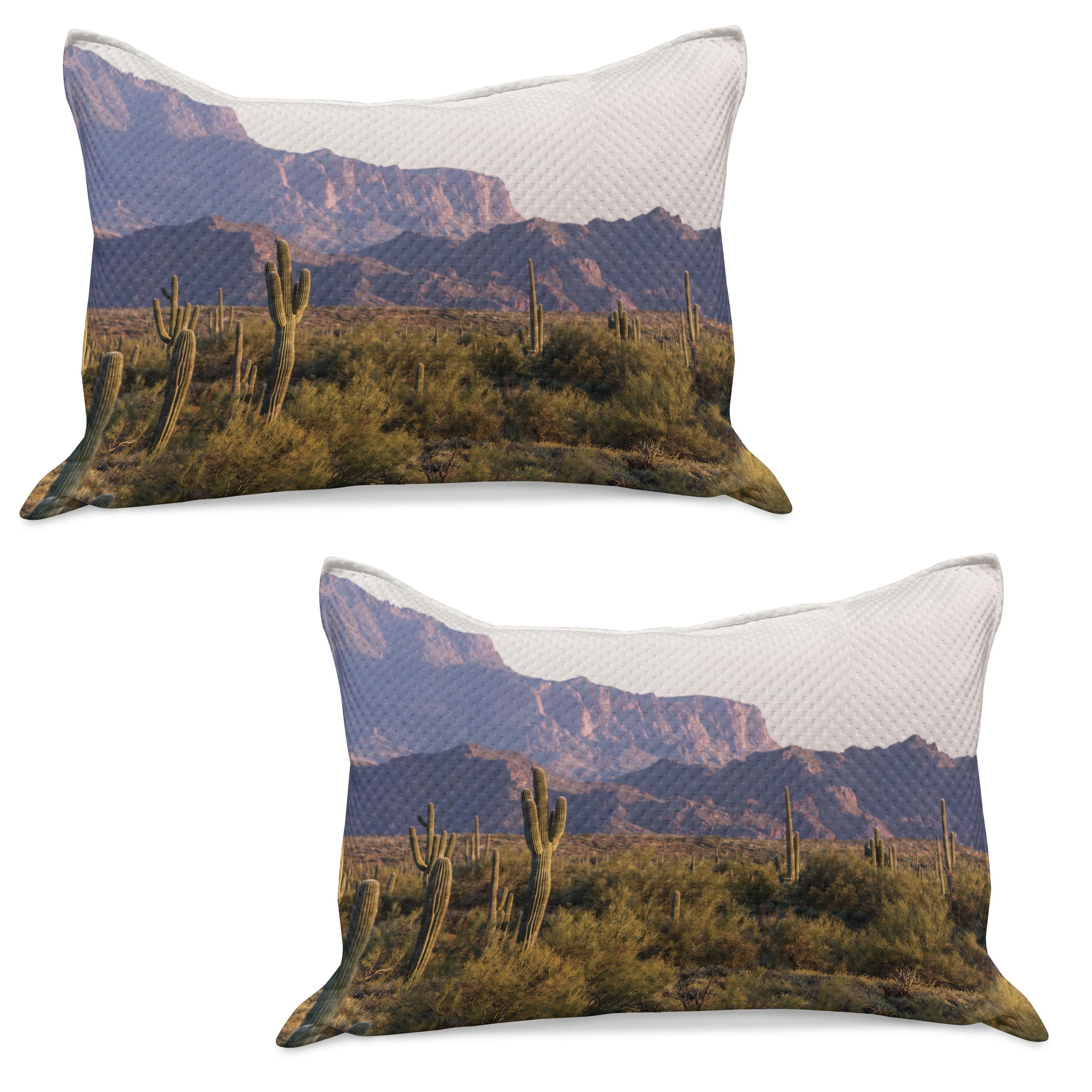 Knitted Spring Landscape Saguaro Knitted Quilt Pillowcover Set of 2, Arizona Desert Landscape ...