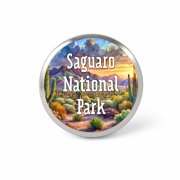 Saguaro National Park Arizona Backpack Hat Novelty Lapel Pin