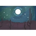 thumbnail image 1 of Saguaro National Park, Arizona, Desert Scene at Night (9x12 Wall Art Print, Home Decor), 1 of 3
