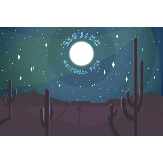 Saguaro National Park, Arizona, Desert Scene at Night (9x12 Wall Art Print, Home Decor)
