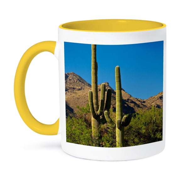 3dRose, Saguaro, Sabino Canyon, Tucson, Arizona, USA., 15oz Two-Tone Yellow Mug