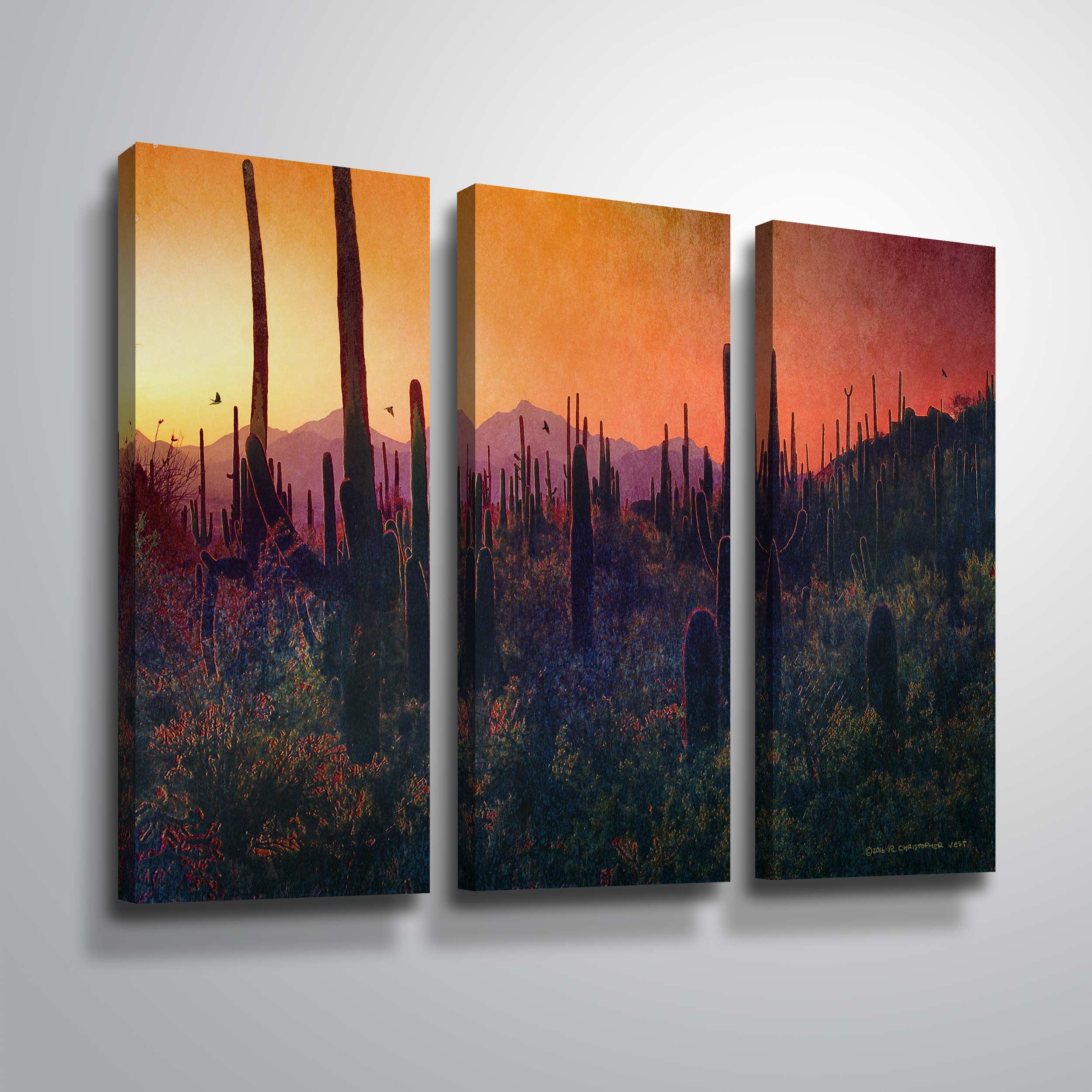Saguaro Silhouettes