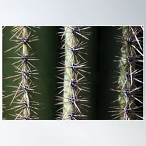 Saguaro Skins: Ernesto Poster Wall Art, Modern Wall Decor For Living Room Bedroom, 8x12 UNFRAMED