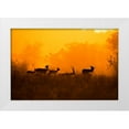 thumbnail image 1 of Saha Pramanick, Sunny 18x13 White Modern Wood Framed Museum Art Print Titled - An evening in Nature, 1 of 4