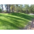 thumbnail image 1 of Sahara Bermuda Grass Seed - 10 Lbs., 1 of 1