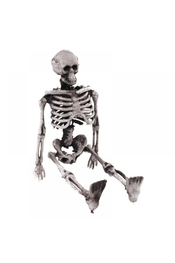 Halloween Skeleton Human Model Skull Full Body Mini Figure Toy Phone Hanger