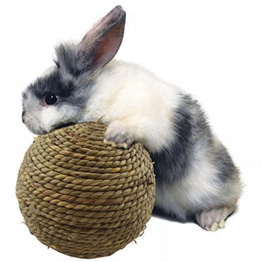 TRIXIE Hide & Slide Rabbit Activity Toy - Interactive Puzzle For Rabbits, Guinea Pigs & Small Pets | Mental Enrichment, Foraging Fun & Brain Teaser
