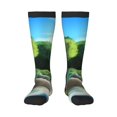 thumbnail image 1 of Saiise Bluey Funny Socks Men Women Boys Kids Adults Novelty Graphic Crew Tube Socks Crazy Design Casual Dress Socks for Sports,Running,Travel, 1 of 7
