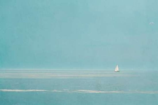 Sail Canvas Art - Roberta Murray (12 x 18)