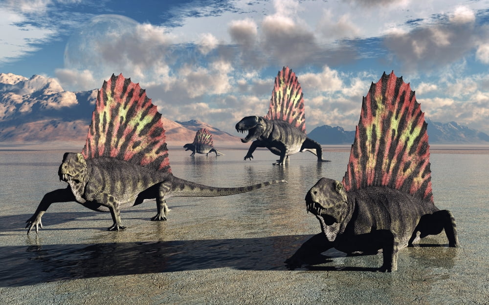 Sail-backed Dimetrodons alive during Earths Permian period of time Canvas Art - Mark StevensonStocktrek Images (36 x 23)