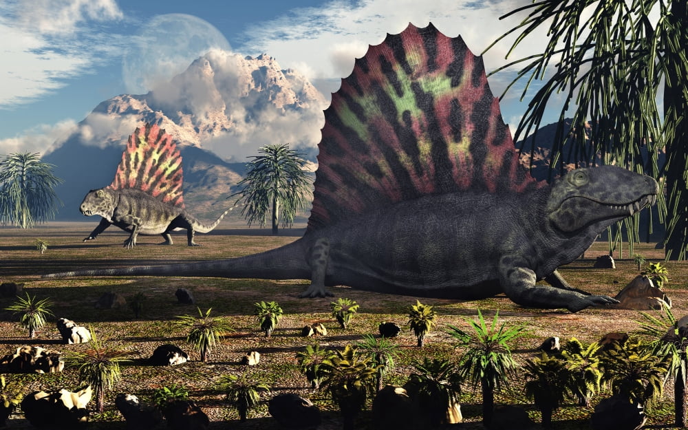 Sail-backed Dimetrodons alive during Earths Permian period of time Canvas Art - Mark StevensonStocktrek Images (36 x 23)
