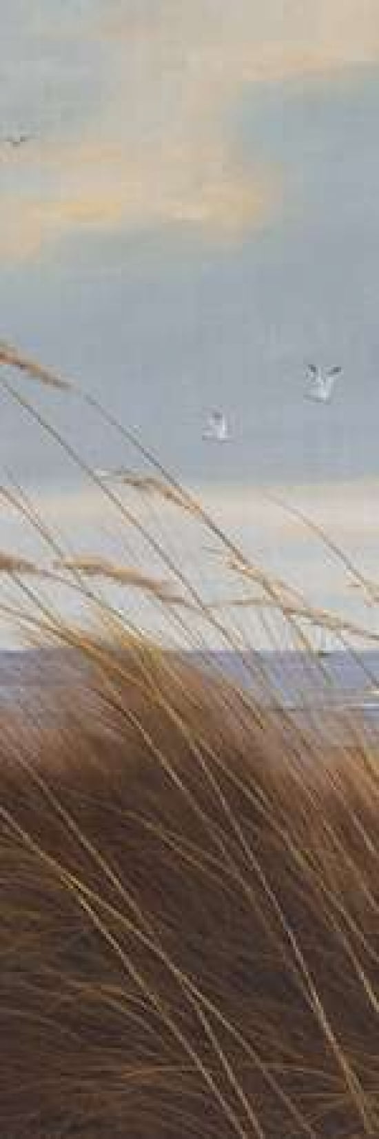 Sailboat Breezeway Panel I Canvas Art - Diane Romanello (12 x 36)