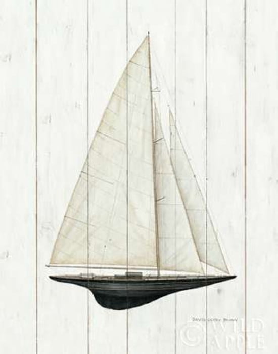 Sailboat II Canvas Art - David Carter Brown (22 x 28)