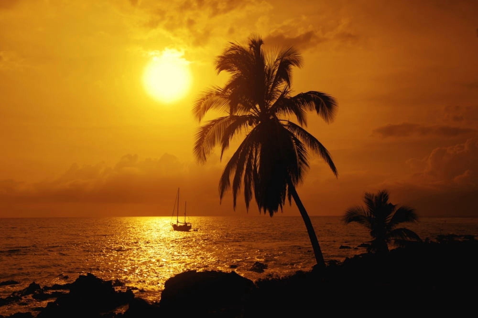 Sailboat and palm tree at sunset Kihei Maui Hawaii United States of America Canvas Art - Ron Dahlquist Design Pics (38 x 24)