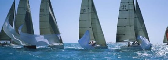 Sailboat racing in the ocean Key West Florida USA Canvas Art - Panoramic Images (36 x 13)