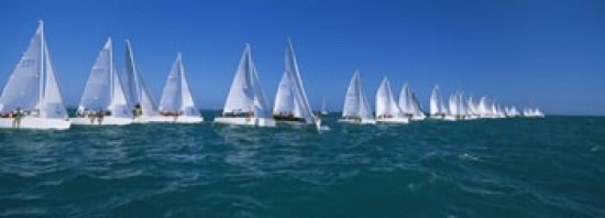 Sailboat racing in the ocean Key West Florida USA Canvas Art - Panoramic Images (36 x 13)