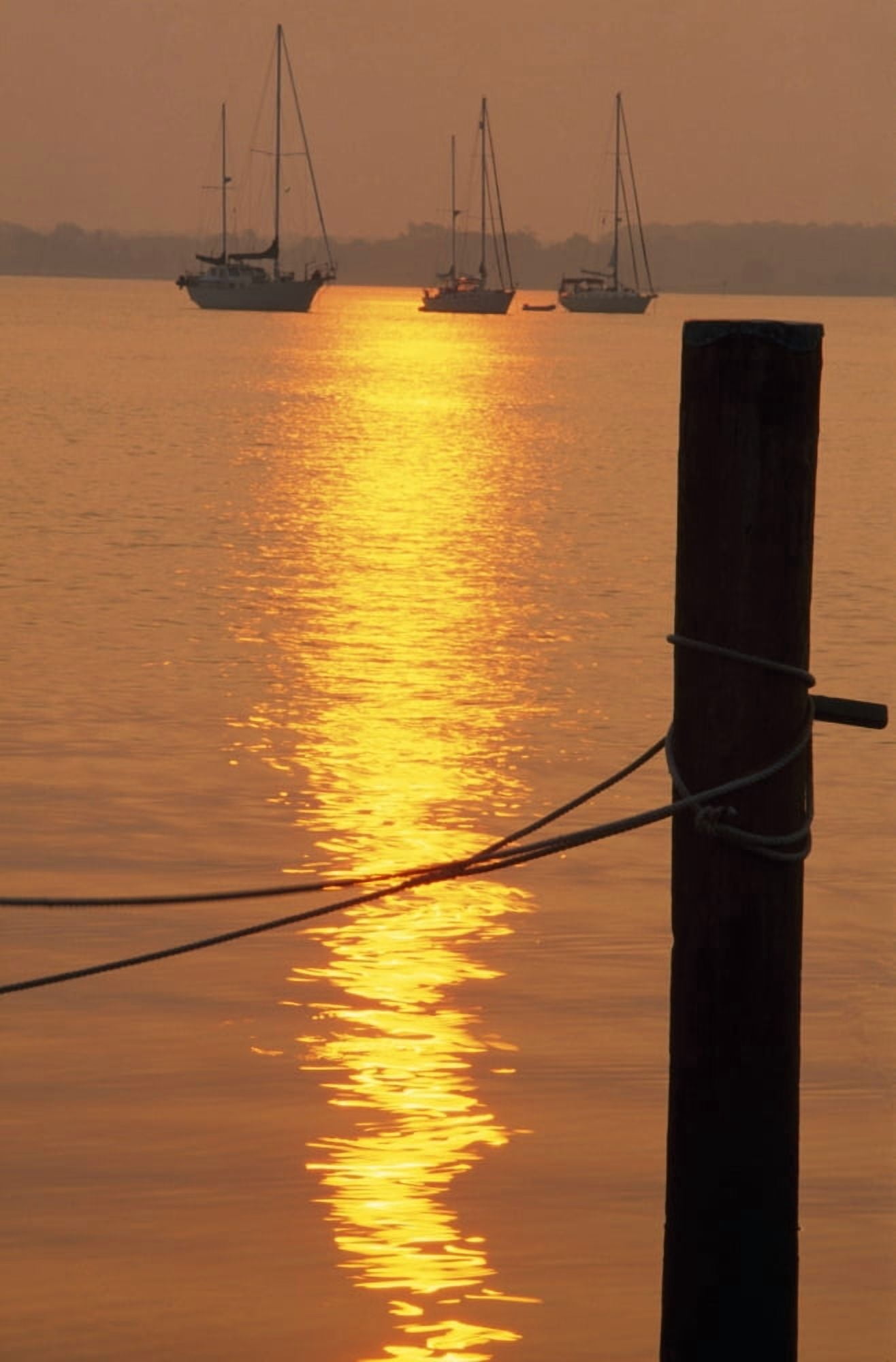 Sailboats At Sunset Canvas Art - Natural Selection Tony Sweet Design Pics (12 x 18)