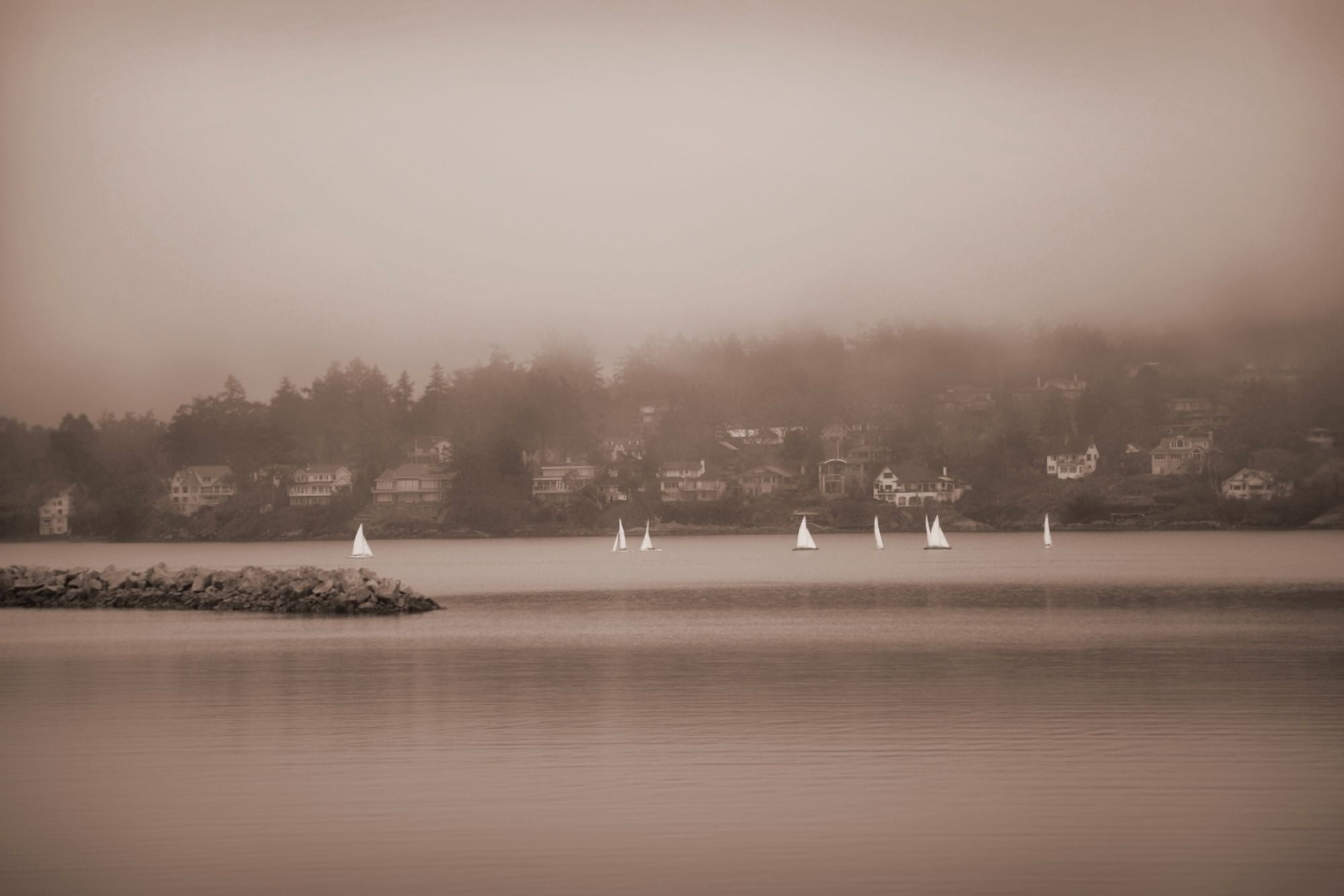 Sailboats In Victoria British Columbia Canvas Art - Misty Bedwell Design Pics (17 x 11)