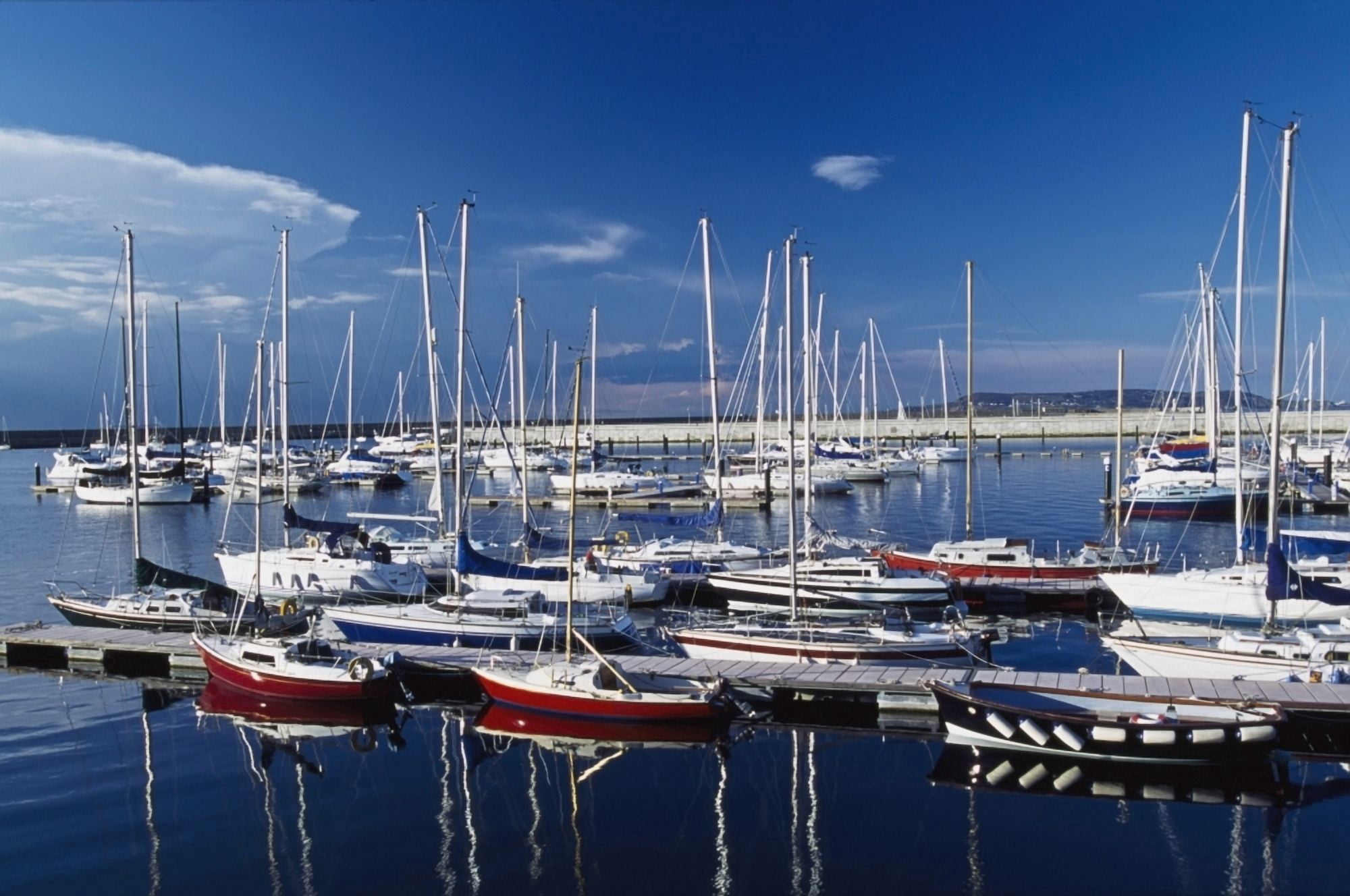 Sailboats Moored In Harbor Marina Canvas Art - Conor Caffrey Design Pics (19 x 12)