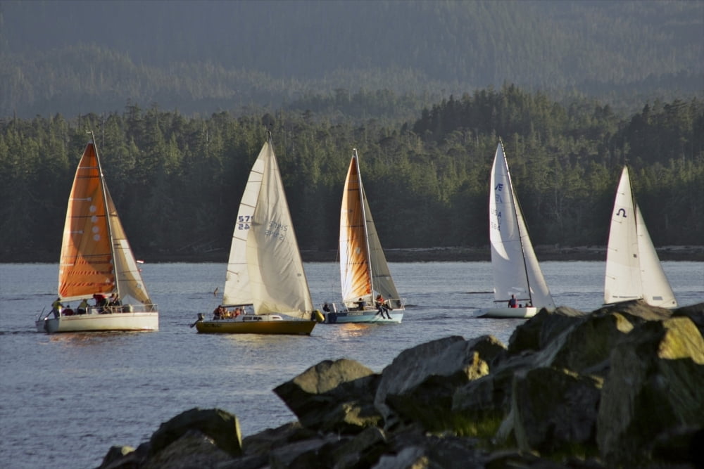 Sailboats Race In Competition Near Ketchikan Alaska During Summer Canvas Art - Clark Mishler Design Pics (17 x 11)