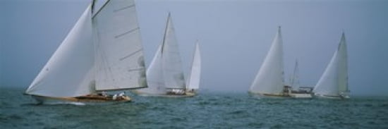 Sailboats at regatta Newport Rhode Island USA Canvas Art - Panoramic Images (36 x 13)