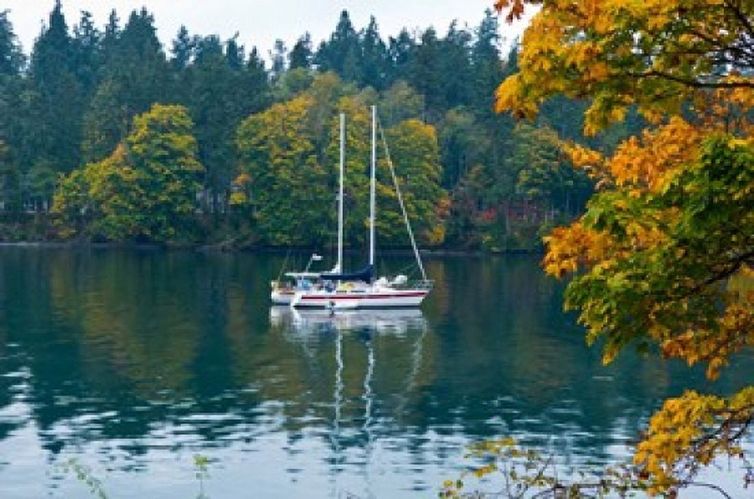 Sailboats in a lake Washington State USA Canvas Art - Panoramic Images (36 x 24)