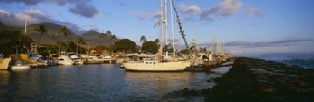 Sailboats in the bay Lahaina Harbor Lahaina Maui Hawaii USA Canvas Art - Panoramic Images (18 x 6)