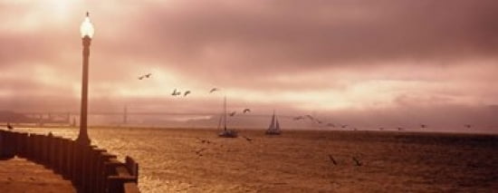 Sailboats in the sea San Francisco Bay Golden Gate Bridge San Francisco California USA Canvas Art - Panoramic Images (30 x 12)