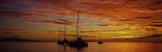 Sailboats in the sea Tahiti French Polynesia Canvas Art - Panoramic Images (36 x 12)