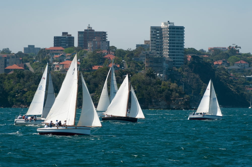 Sailboats in the sea with city in the background Garden Island Sydney New South Wales Australia Canvas Art - Panoramic Images (36 x 12)
